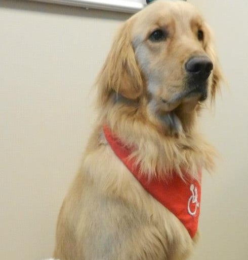 Monte — Pets on Wheels Hall of Fame