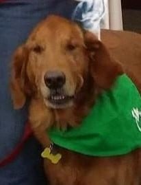 Boone — Pets on Wheels Hall of Fame