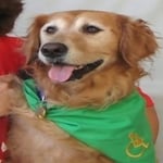 Lucy — Pets on Wheels Hall of Fame