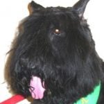 Hannah — Pets on Wheels Hall of Fame